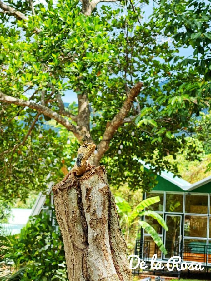 Homestay De La Rosa - Con Dao Chi Khu Co Ong Eksteriør bilde